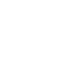 GI