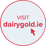 Dairygold Corporate Website