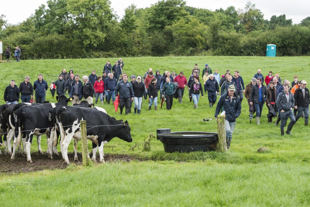 IHFA Cork Club Field Evening | Farm of James and Seamus Crowley, Coppeen, Co. Cork