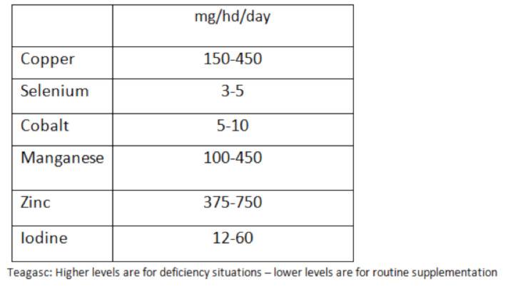 Trace mineral requirements table