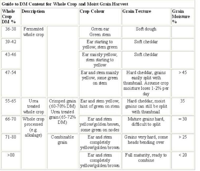 Guide to DM content