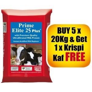 Dairy Requisites