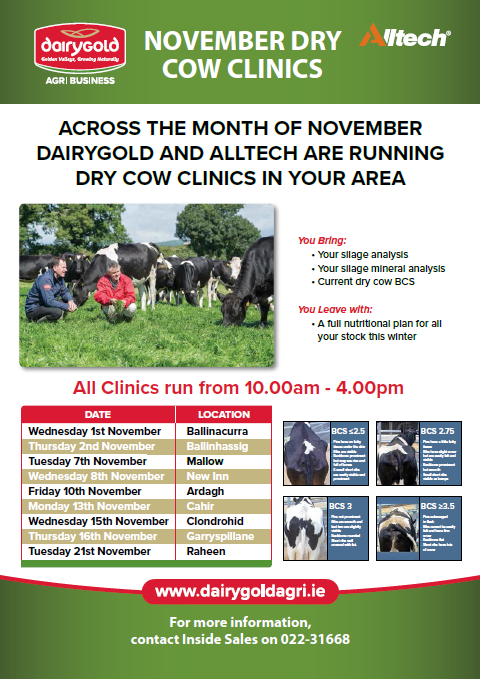 November Dry Cow Clinic – Ballinacurra