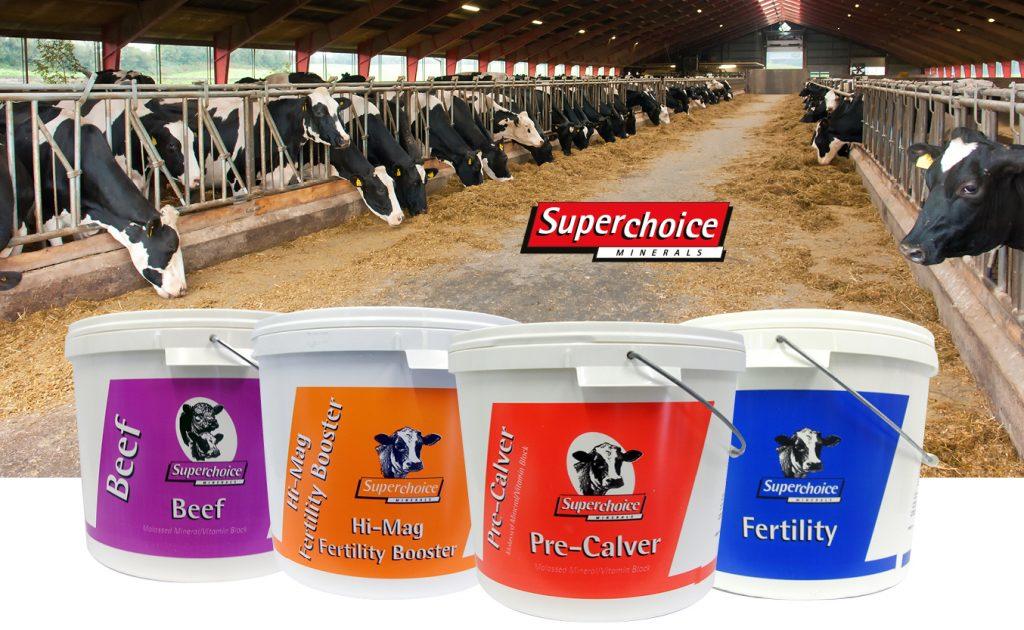 Ensure optimum health of your livestock this Spring with Superchoice Minerals