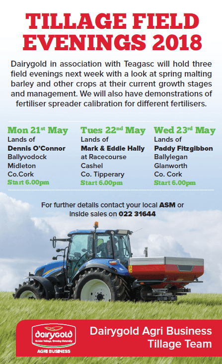 Tillage Field Evening – Cashel