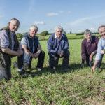 malting_barley_cashel_4