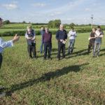 malting_barley_cashel_6