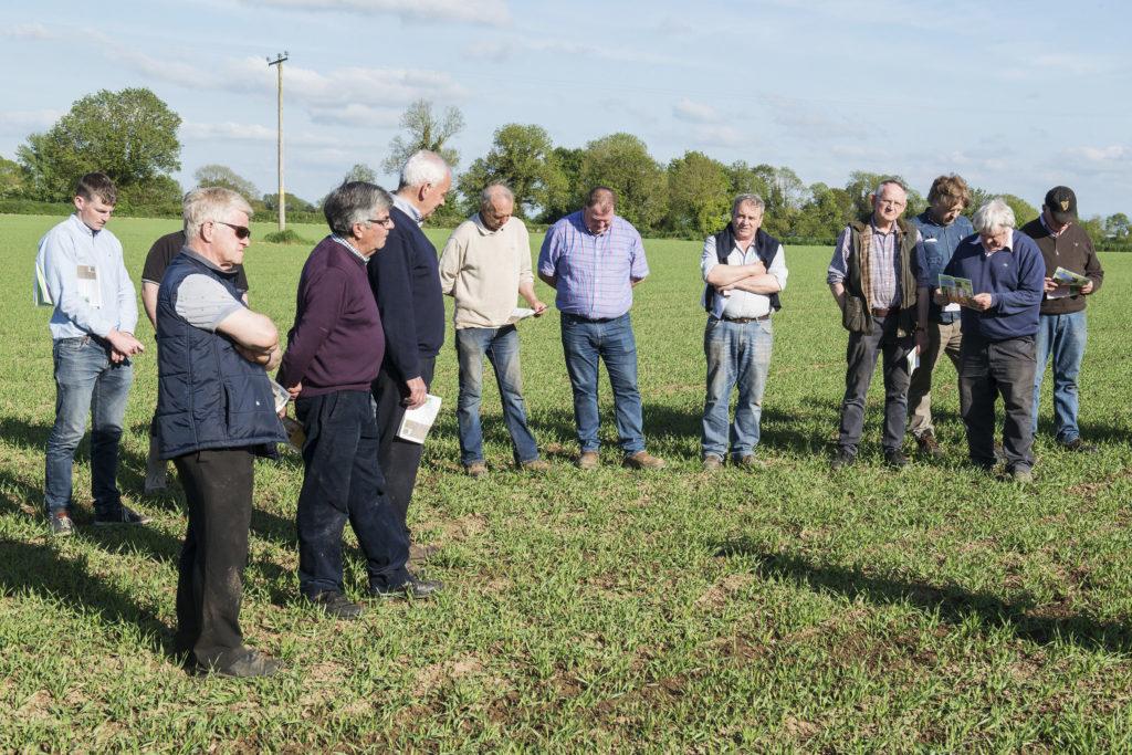 Dairygold/Teagasc Malting Barley Field Evening | Cashel, Co. Tipperary