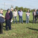 malting_barley_cashel_7