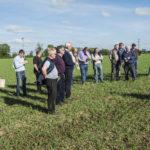 malting_barley_cashel_7a