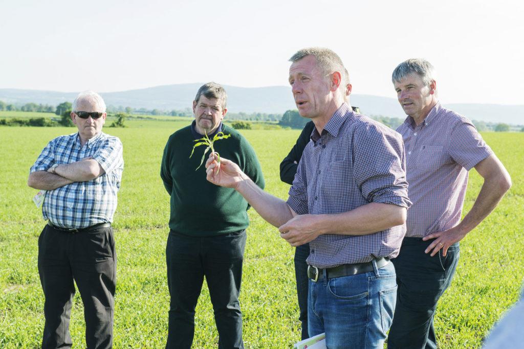 Dairygold/Teagasc Malting Barley Field Evening | Glanworth, Co. Cork