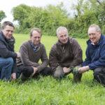 malting_barley_midleton_6