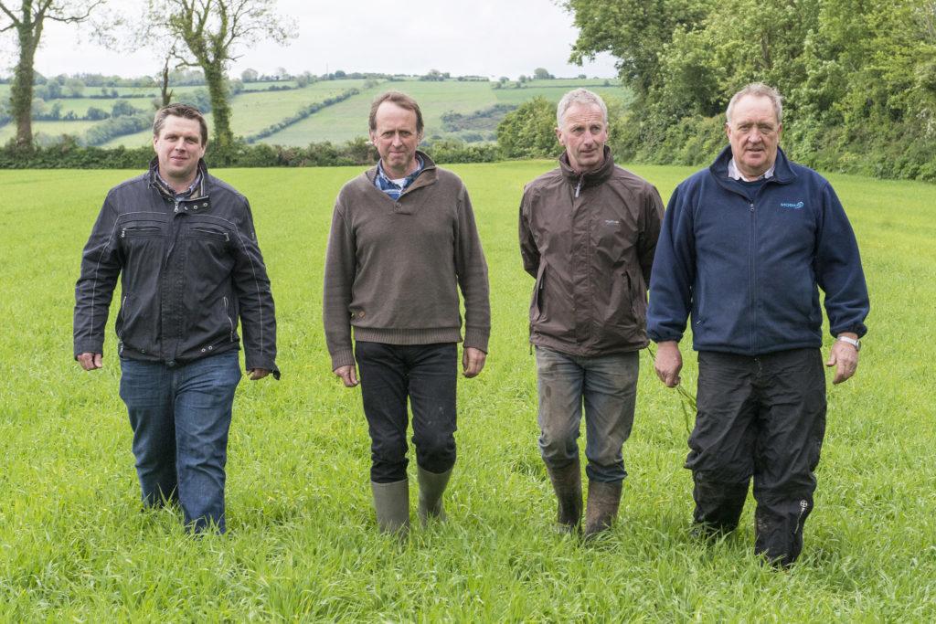 Dairygold/Teagasc Malting Barley Field Evening | Midleton, Co. Cork