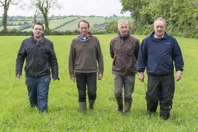 malting_barley_midleton_6a