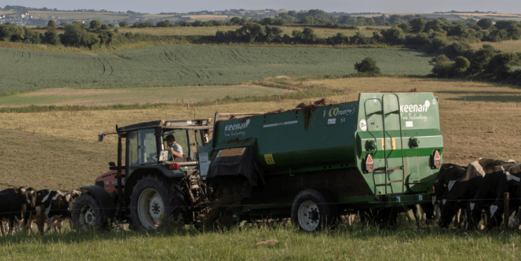 I have not made a 2nd cut of grass silage, what can I do?