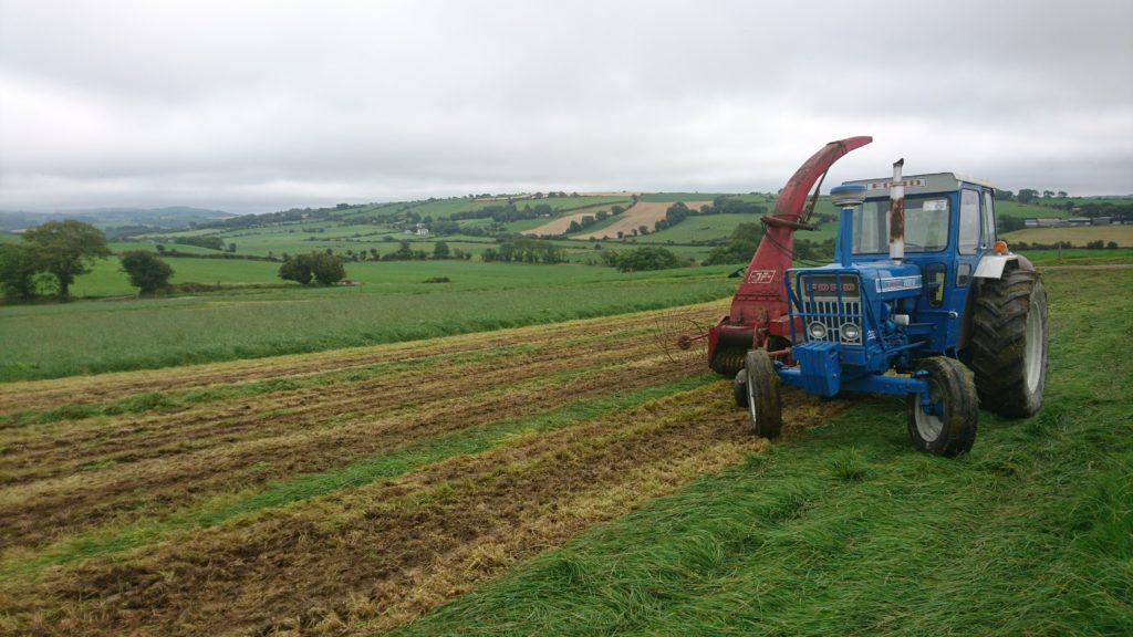 How higher DMD silage can save you money