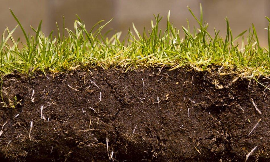 Why now is the best time to get your soil tested