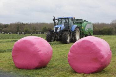 Bright Pink Bales Are Back For Summer 2021