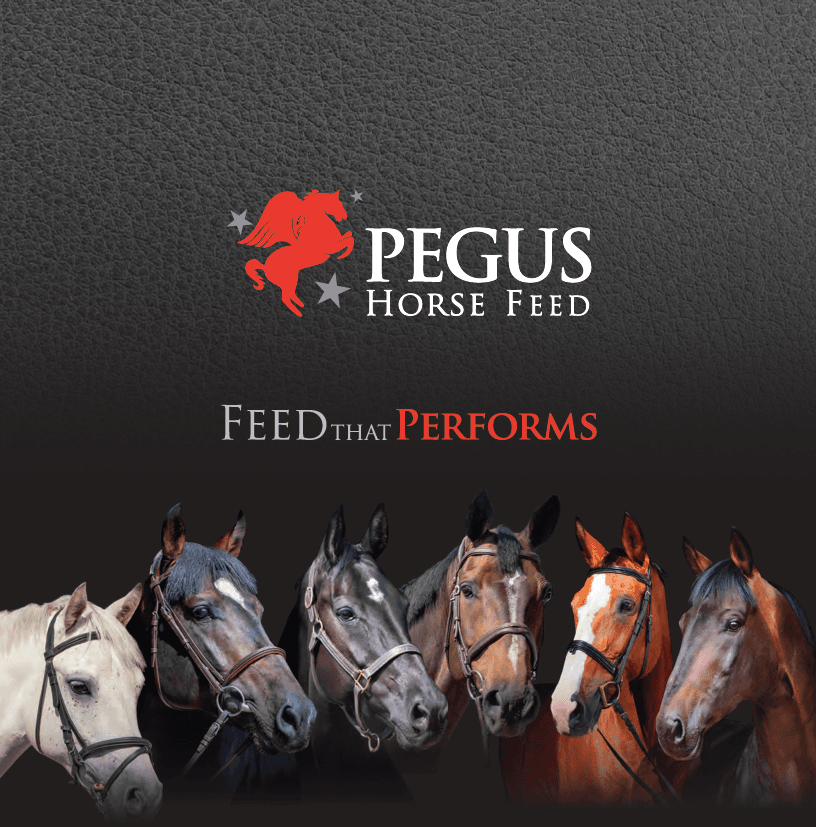 Win 6 Free Bags of Pegus