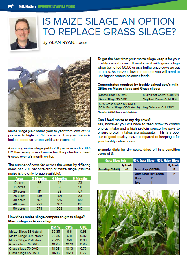 Is Maize Silage An Option To Replace Grass Silage?