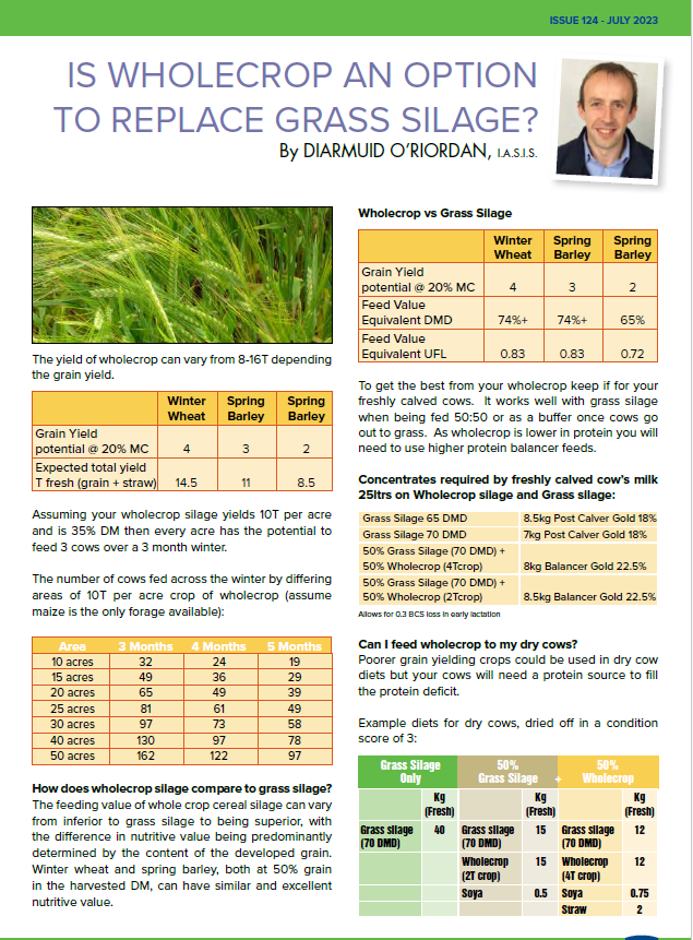 Is Whole Crop An Option To Replace Grass Silage?