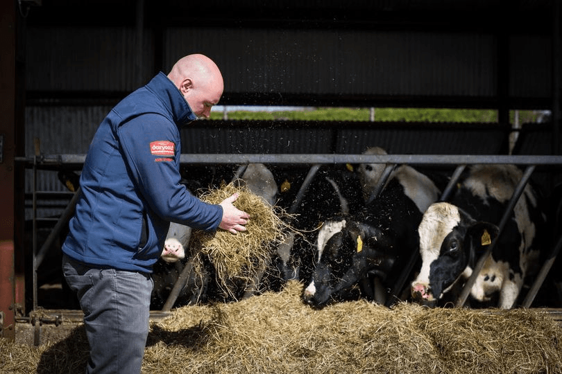 Dairygold announces additional supports for its Tillage and Beef Customers