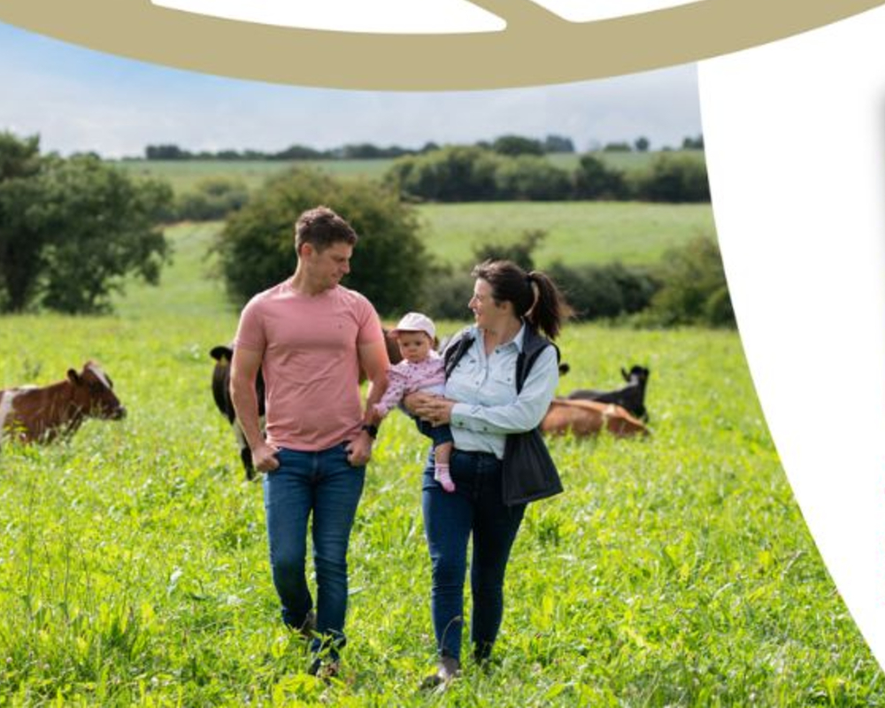 Annual Report and Financial Statements 2025